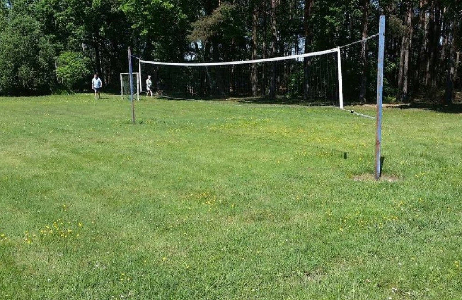 18699553 1351819748219246 275543707945584098 o