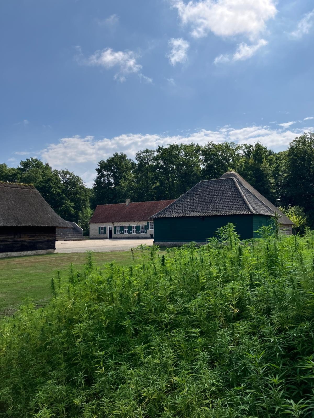 The Green House at Bokrijk Estate in Genk