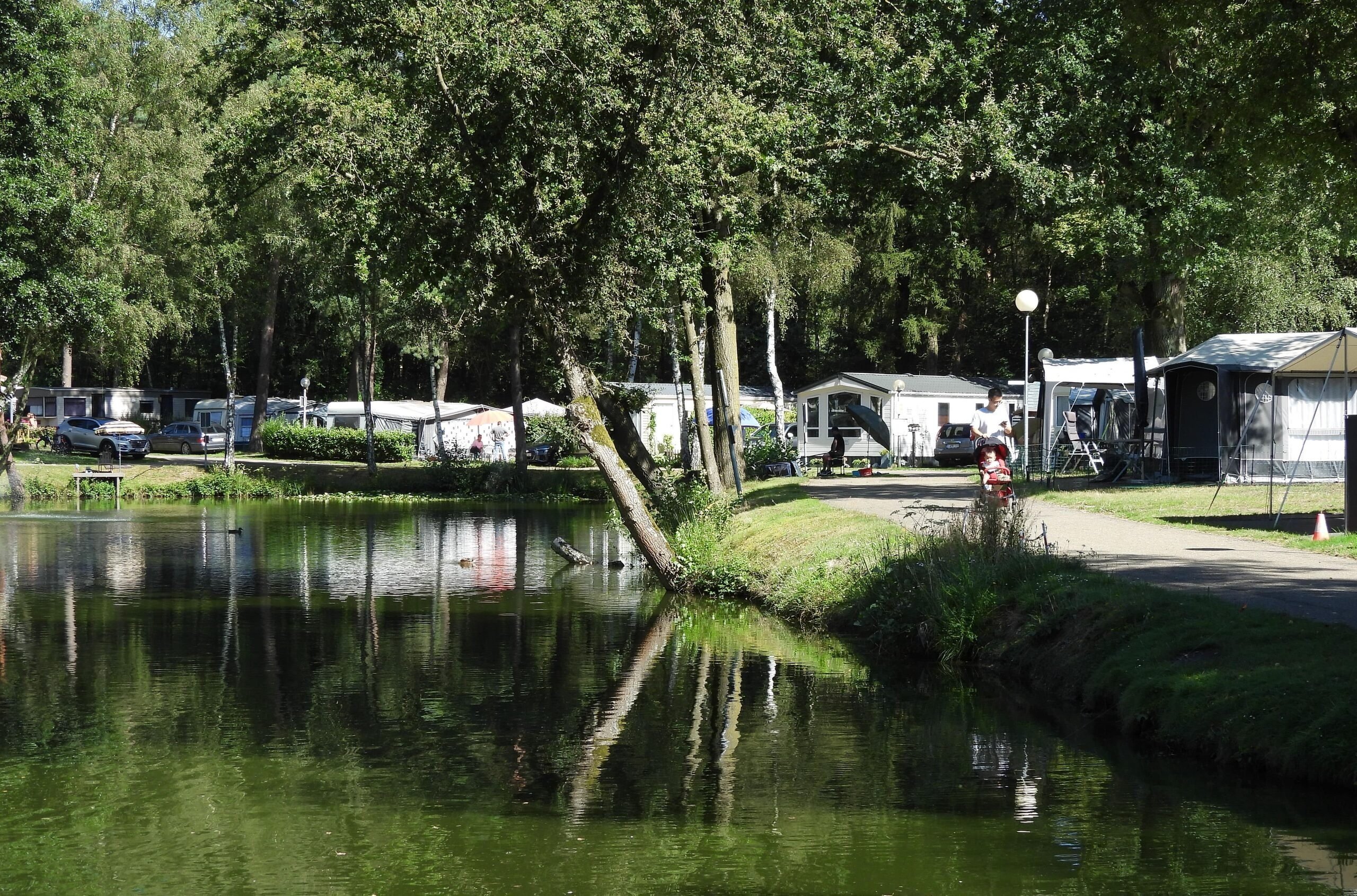 The most beautiful nature campsite in Belgian Limburg