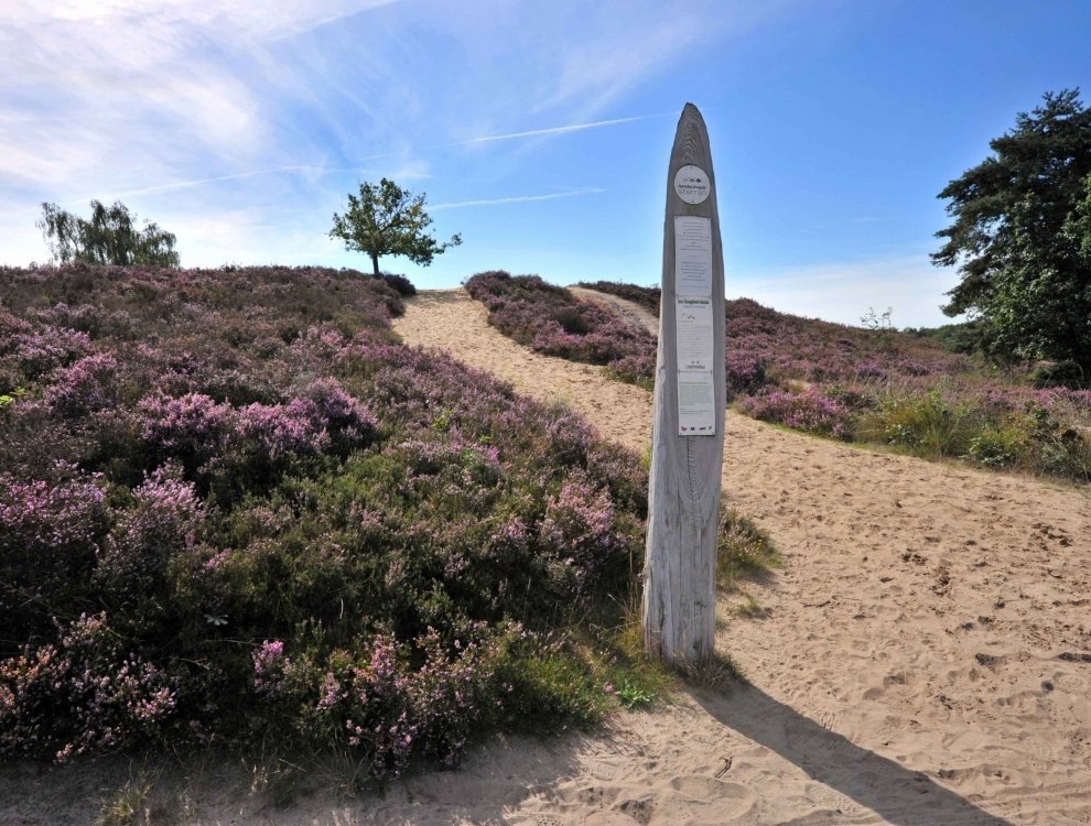 Hoge Kempen National Park